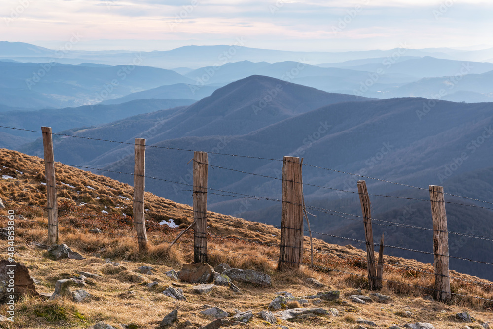 Fencing for cattle and succession of mountains