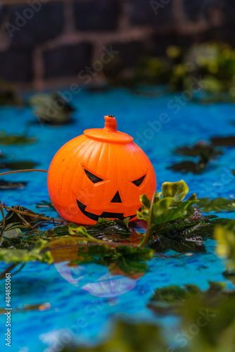 Vertical photo of isolated Halloween jack o lantern in garden