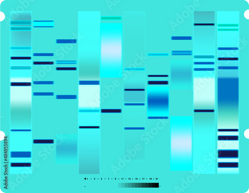 Vector graphic template of light blue hues monochromatic big genomic data visualization, DNA test and genome map sequence.