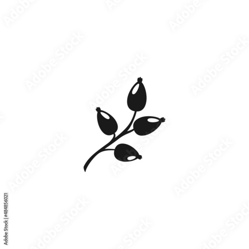 wild rose branch with berries. Black icon on white background. Winter and autumn vector with twigs.