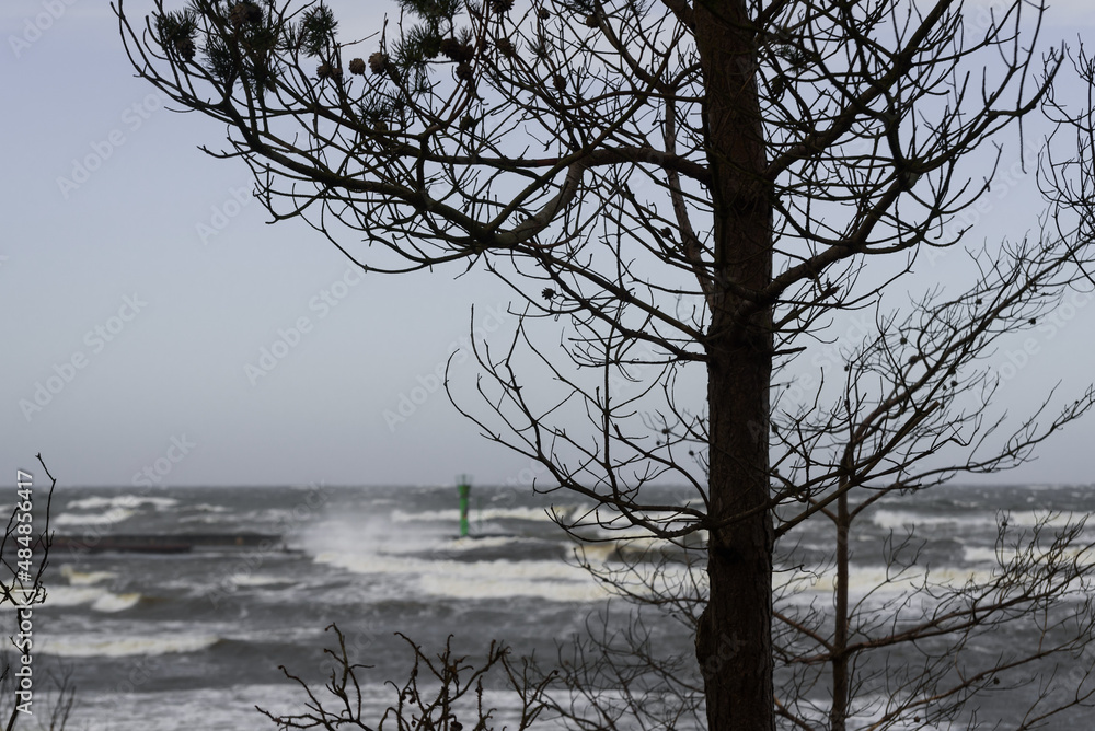 WEATHER - Hurricane on the sea coast WEATHER - Hurricane on the sea coast