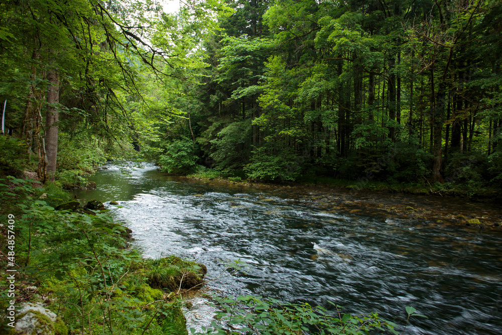 River River