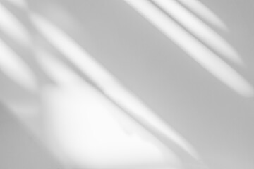 Gray window shadow and light blur abstract background on white wall, shadow overlay effect