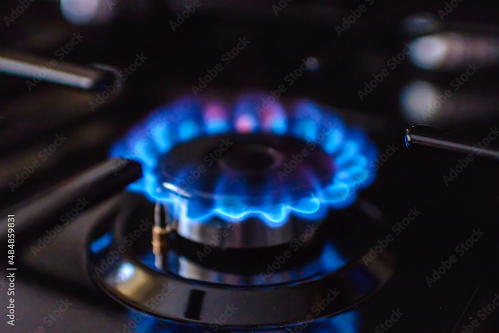 Gas burning from a kitchen gas stove at home.Gas flame with blue reflection.Close-up,selective focus. Gas burning from a kitchen gas stove at home.Gas flame with blue reflection.Close-up,selective focus.