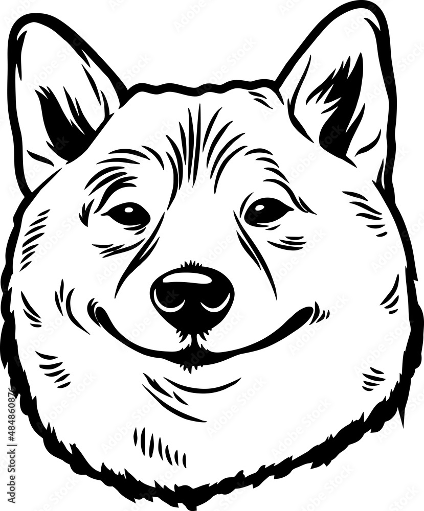 Akita Inu - Funny Dog, Vector File, Stencil for Tshirt