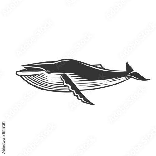 Whale. Black and white illustration.
