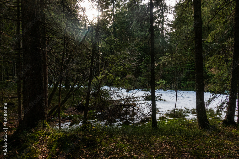 Obraz premium Prinzenweg