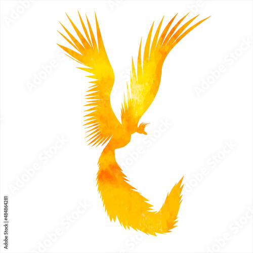 phoenix bird watercolor silhouette ,on white background, vector