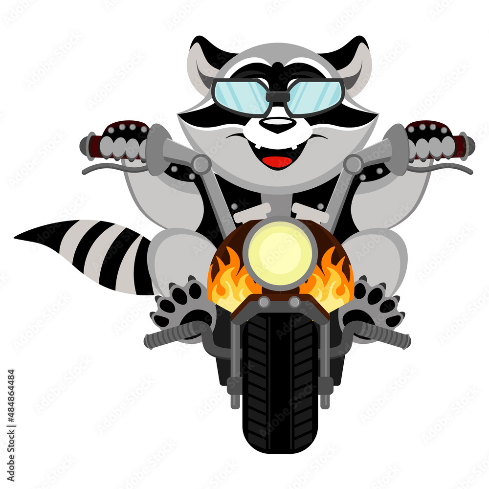 The biker raccoon. Vector illustration of a tiger motorcyclist.