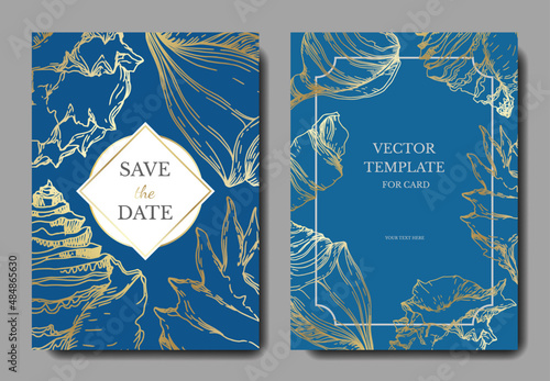 Summer beach seashell tropical elements. Engraved ink art. Wedding background card decorative border.