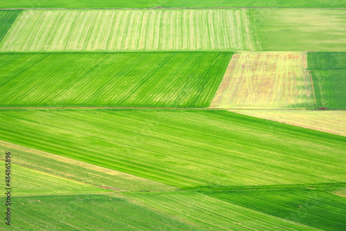 Aerial photo of a multicolored and fertile cultivated field during spring season