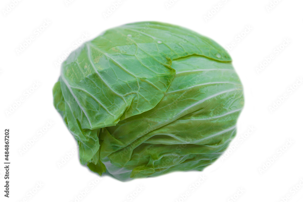 Fresh cabbage vegetable isolated on white background. Concept : organic healthy food ingredient for cooking that can cook for variety menu. Agriculture crop from Thailand. Fresh cabbage vegetable isolated on white background. Concept : organic healthy food ingredient for cooking that can cook for variety menu. Agriculture crop from Thailand.