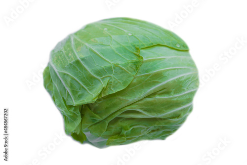  Fresh cabbage vegetable isolated on white background. Concept : organic healthy food ingredient for cooking that can cook for variety menu. Agriculture crop from Thailand.   