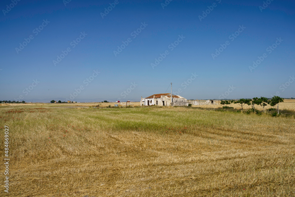 Country landscape near Siponto, Apulia, Italy Country landscape near Siponto, Apulia, Italy