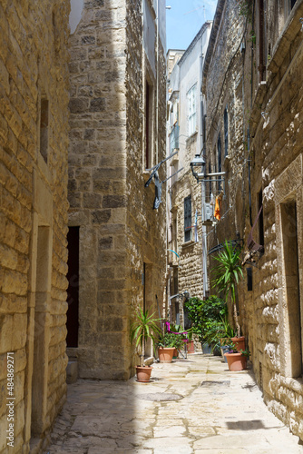 Quadro su tela Bisceglie, historic city  in Apulia