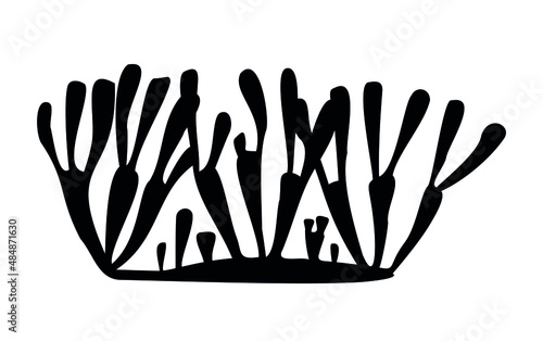 coral reef silhouette on white background