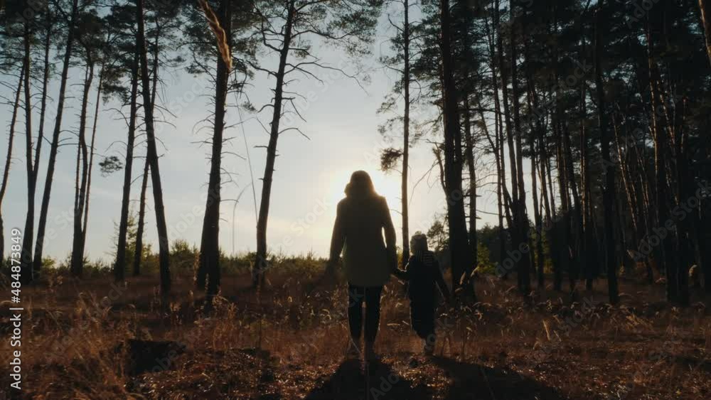 Silhouettes of a woman and a child walking through the forest. Mom walks with her little son in an autumn pine forest in sunny weather Silhouettes of a woman and a child walking through the forest. Mom walks with her little son in an autumn pine forest in sunny weather