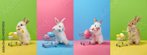 Collage with Easter bunny rabbits holding shopping basket with eggs and candies photo