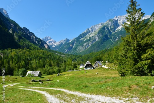 View of alpine pasture in Zadnja Trenta valley in Julian alps and Triglav national park, Slovenia with forest covering the slopes and traditional architecture photo