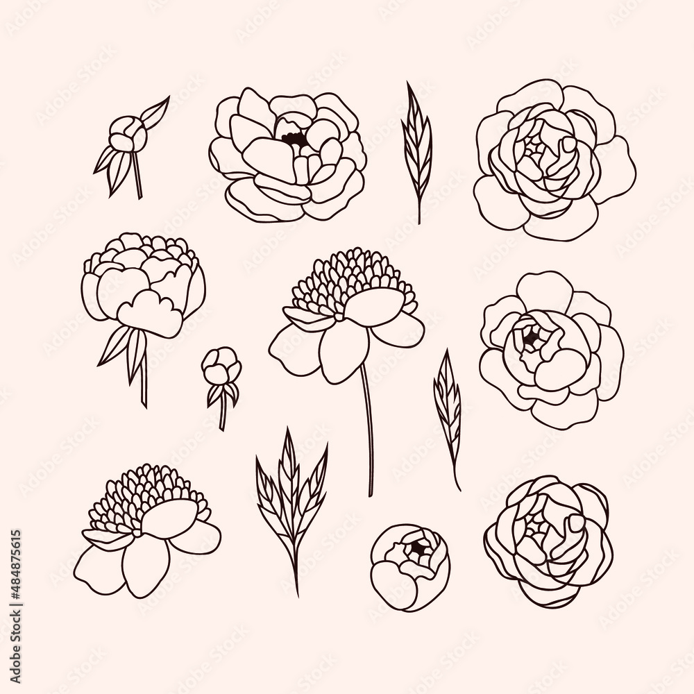 Set of line art peony flowers. Hand drawn Peonies for wedding invitations, cards, tattoos and your own design Set of line art peony flowers. Hand drawn Peonies for wedding invitations, cards, tattoos and your own design
