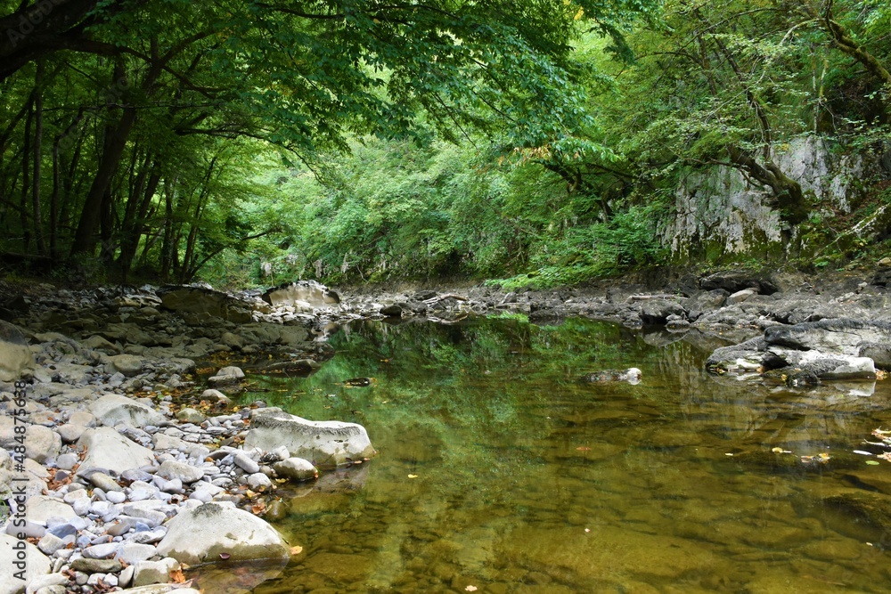 Reka river in low water flow with a reflection of the trees in water in Karst region of Slovenia Reka river in low water flow with a reflection of the trees in water in Karst region of Slovenia