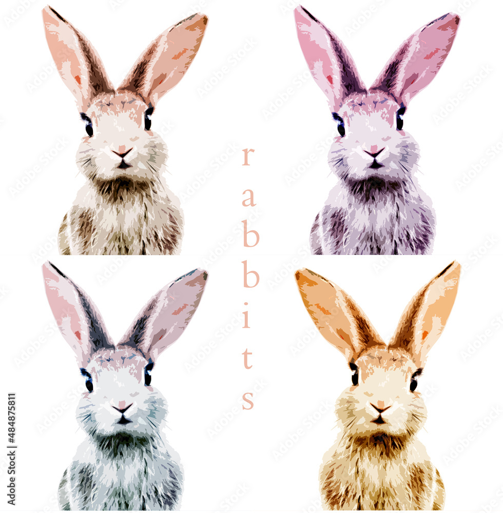 Fototapeta premium rabbit drawing, rabbit textile printing, rabbit t-shirt printing