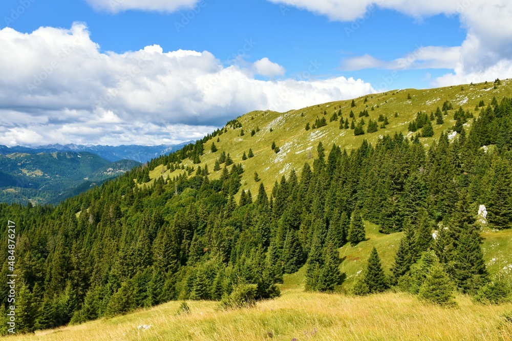 Ratitovec mountain range with the top covered in grass and a mostly coniferous forest bellow in Gorenjska, Slovenia