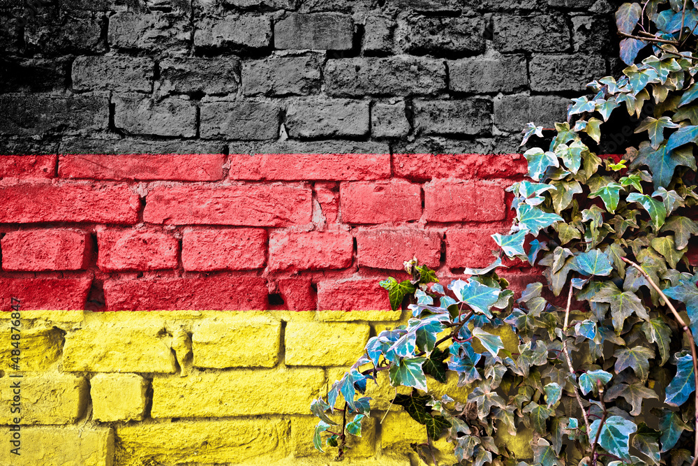 Fototapeta premium German grunge flag on brick wall with ivy plant