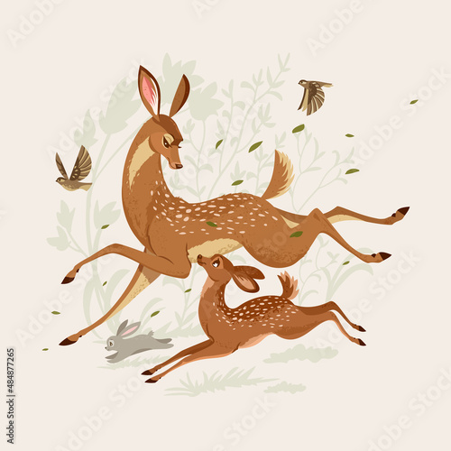 Deer with a little deer