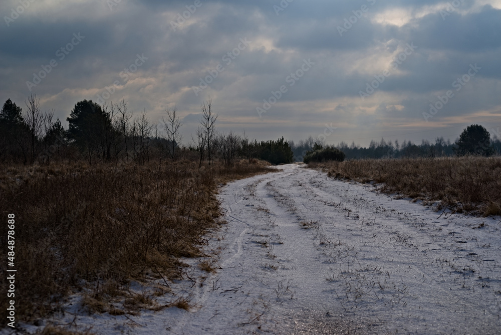 Droga przez łąkę i zarośla na skraju lasu pod pochmurnym zimowym niebem , przyprószona śniegiem . Droga przez łąkę i zarośla na skraju lasu pod pochmurnym zimowym niebem , przyprószona śniegiem .
