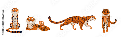 tiger set