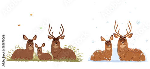 deers family