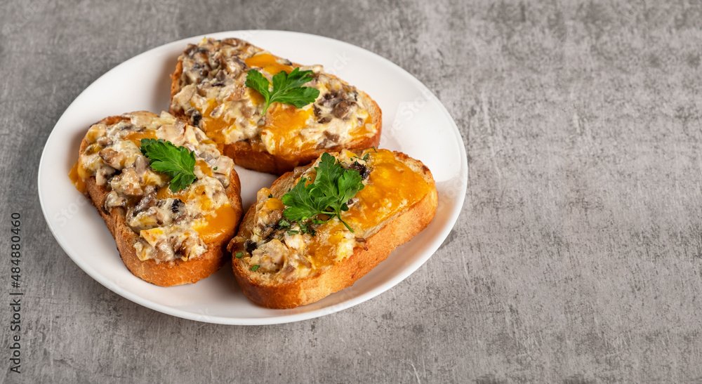 Bruschetta with egg, cheese, mushrooms and herbs in a plate on a gray background. Horizontal orientation, copy space Bruschetta with egg, cheese, mushrooms and herbs in a plate on a gray background. Horizontal orientation, copy space