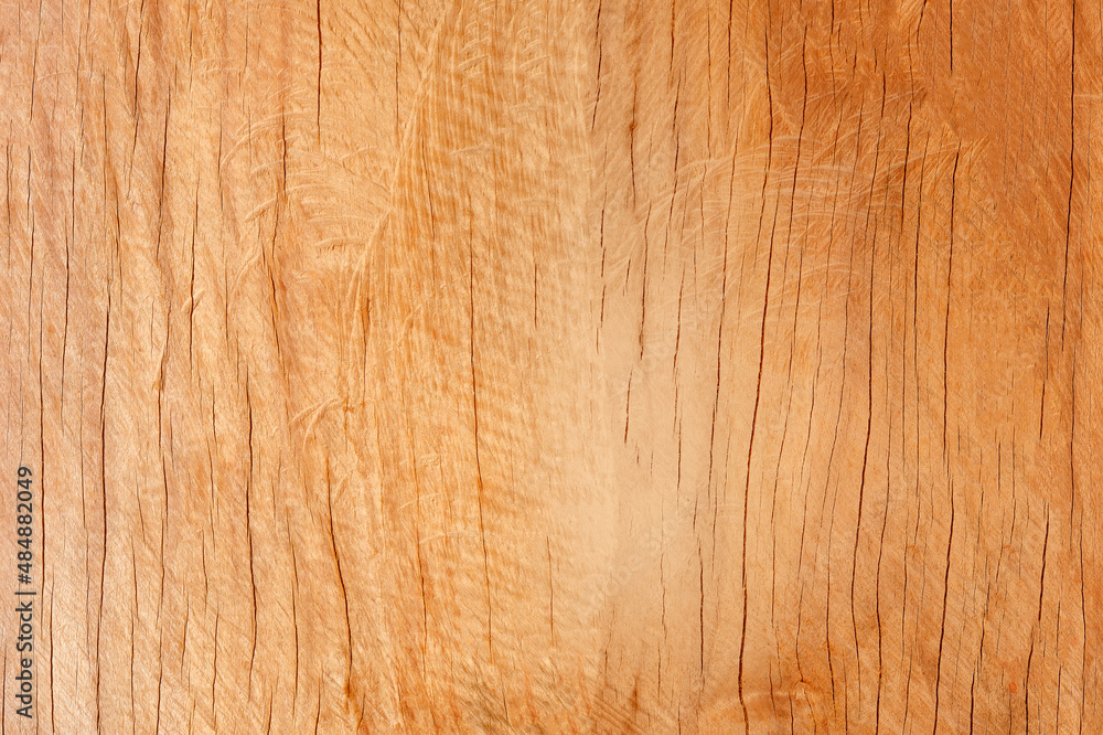 Wood texture. Good use for background. Natural wood. Wood texture. Good use for background. Natural wood.