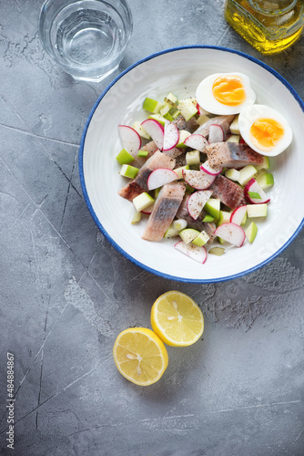 Plate of salad with herring, apple and radish, flat lay on a grey concrete background, vertical shot