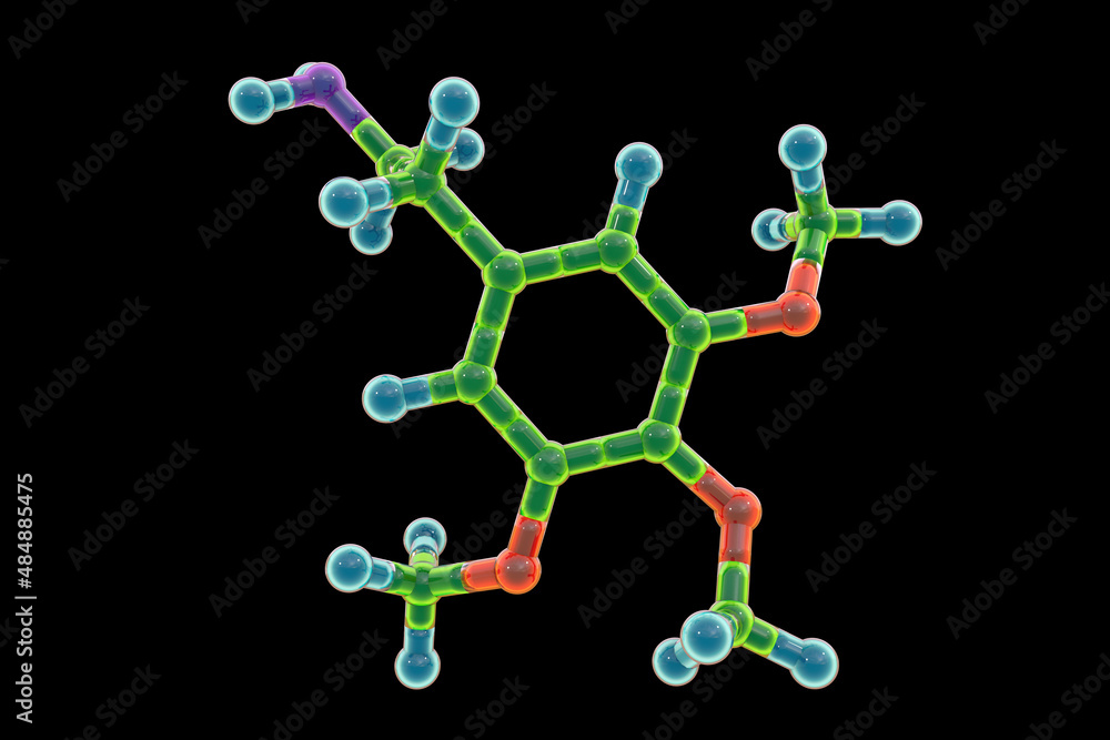 Mescaline molecule, a natural hallucinogenic substance present in the flesh of several cacti - obrazy, fototapety, plakaty 