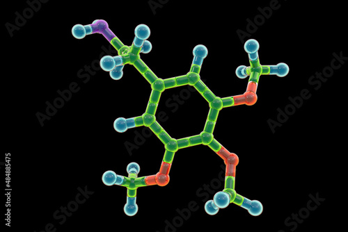 Mescaline molecule, a natural hallucinogenic substance present in the flesh of several cacti photo