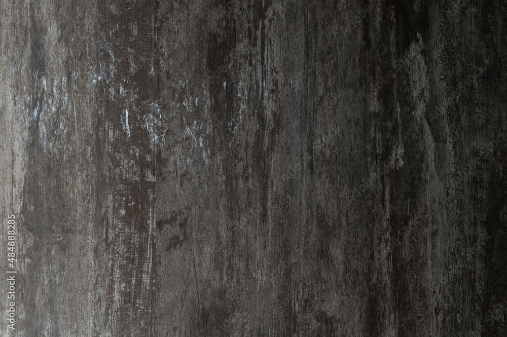 woody dark background. loft tree. background with wood woody dark background. loft tree. background with wood