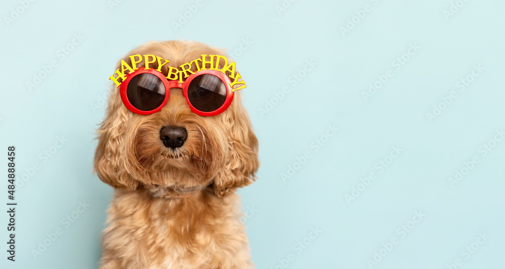 Birthday sunglasses best sale