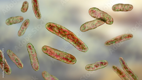 Bacteria Sphingomonas, 3D illustration photo