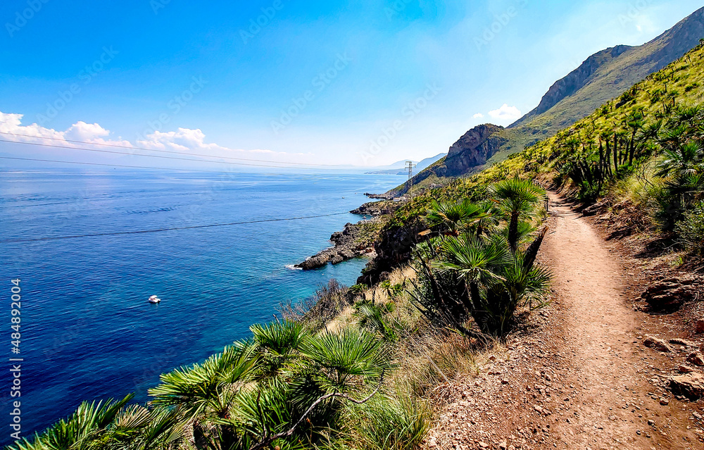 The path with palms around the sea - Zingaro Nature Reserve in San Vito Lo Capo, Sicily coast, Italy The path with palms around the sea - Zingaro Nature Reserve in San Vito Lo Capo, Sicily coast, Italy