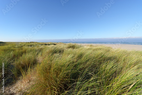 Sand dunes in Bricqueville-sur-Mer beach