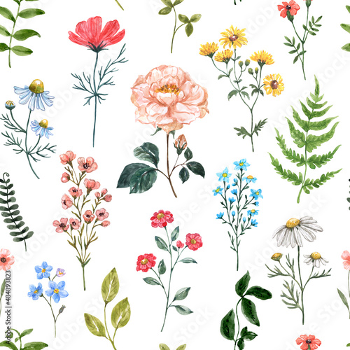 Fototapeta Naklejka Na Ścianę i Meble -  Watercolor floral seamless pattern with colorful wildflowers and grass on white background. Summer meadow flowers print. Botanical wallpaper.