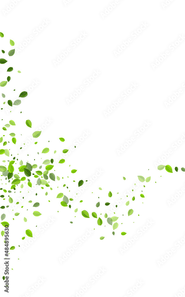 01_lis 01_lis