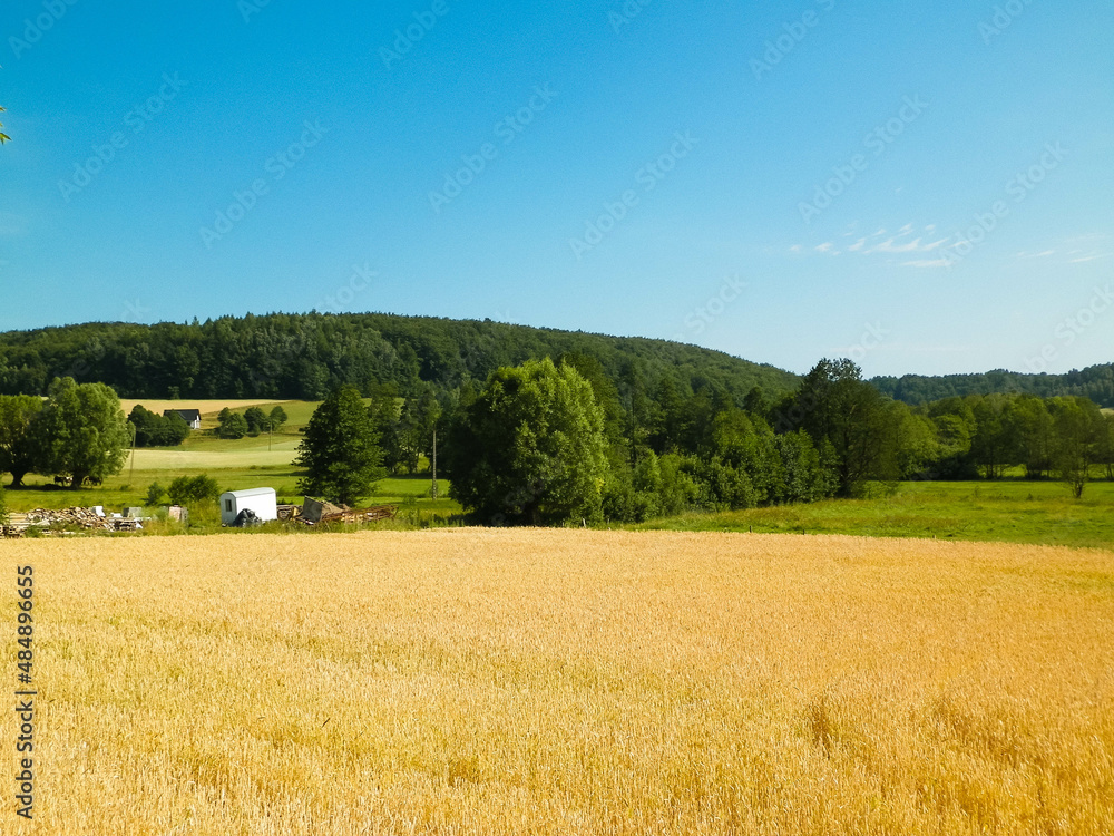 Landscape of field and hills of Wiezyca, Kashubian region in Poland.