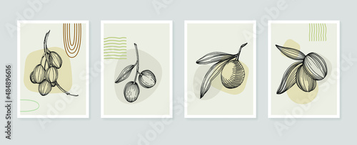 Olives botanical wall art vector. Sketch boho foliage line art drawing with abstract shape. Draw plant art design for print, cover, wallpaper, minimal and natural wall art.