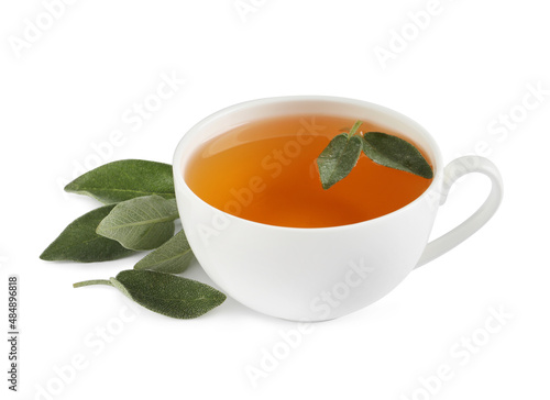 Cup of aromatic sage tea and fresh leaves on white background