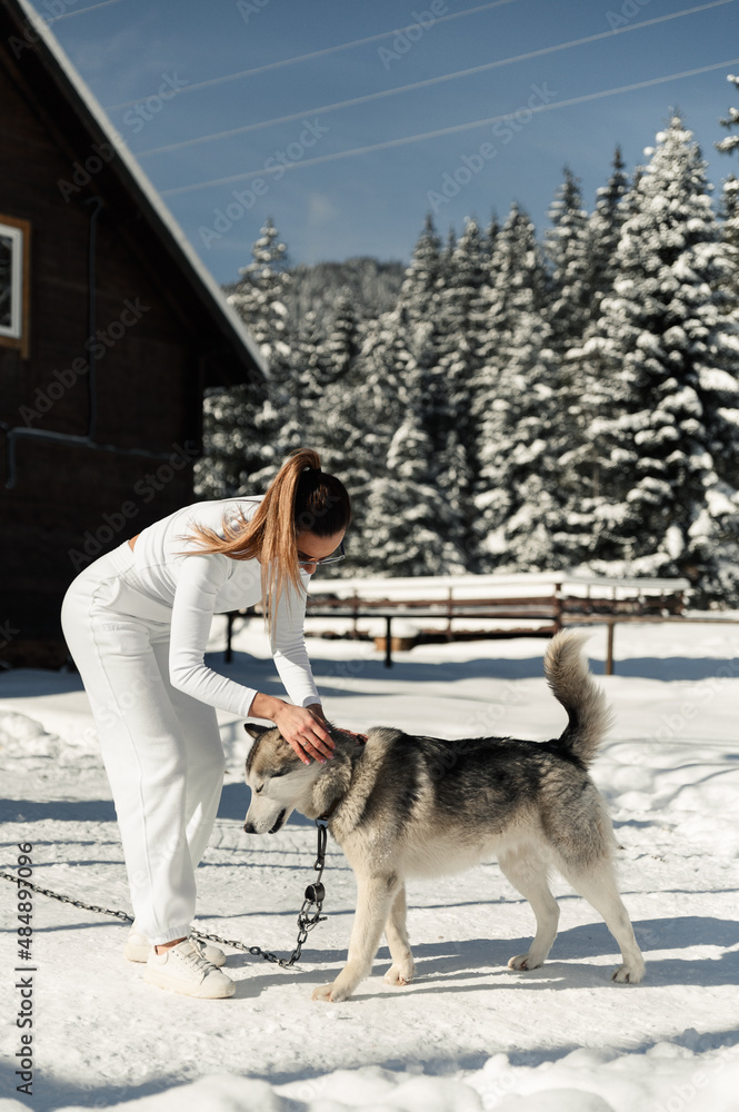 Naklejka premium a beautiful girl plays with a husky in the winter on the street against the background of the house and nature. fluffy husky plays with the mistress. girl with a dog in everyday life