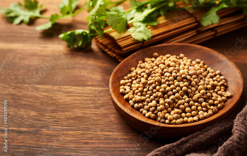 dry coriander seed spice in a wood dish and leaf or leaves on wooden background with copy space                             