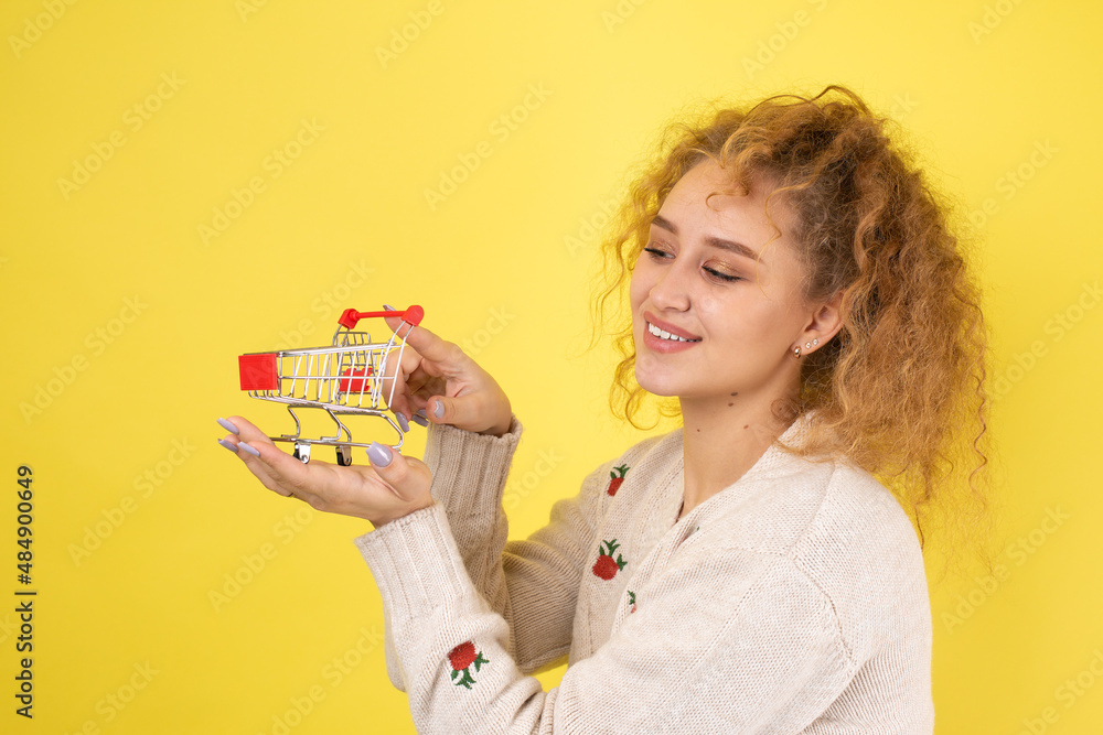 A young beautiful curly red-haired girl holds a food cart in her hands. Shopping concept. A young beautiful curly red-haired girl holds a food cart in her hands. Shopping concept.